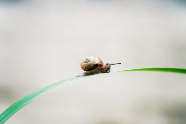 frederick-yang-HwriRYdrW1Y-unsplash.jpg frederick-yang-HwriRYdrW1Y-unsplash.jpg